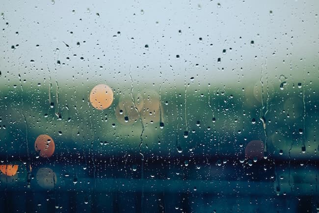 Windscreen